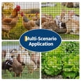 View all media