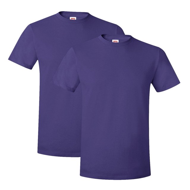 Hanes T-Shirt à Col Rond en Coton Ringspun Nano-T pour Hommes, Lot de 2