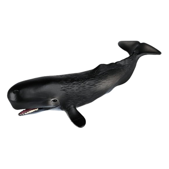 Tachiuwa Action Figures Hand-Painted Shark Sea Life Marine Toys Decorative Gifts Sperm D