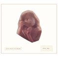 thumbnail image 1 of Arielle Soucy – Il N'y A Rien Que Je Ne Suis Pas, 1 of 1
