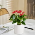 thumbnail image 4 of Modern White Plastic Planter Pot Flower Vase for Bookshelf Mantel Table Home Decoration, 4 of 6
