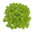 thumbnail image 1 of 100pcs Fish Tank Fluorescent Pebble Garden Parterre Decor Glow Stone Green, 1 of 9