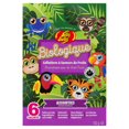 thumbnail image 3 of Jelly Belly Organic Fruit Flavoured Snacks, 3 of 11