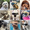 thumbnail image 4 of YSTIANN Lunettes pour Chiens, pour Petites Races - Lunettes de Conduite Coupe-Vent Ajustables AZ78-3378, 4 of 6
