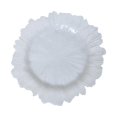 thumbnail image 2 of Charger Plate 13" Glass Fruit Plate Service Plate Irregular Western Food Plate White, 2 of 9