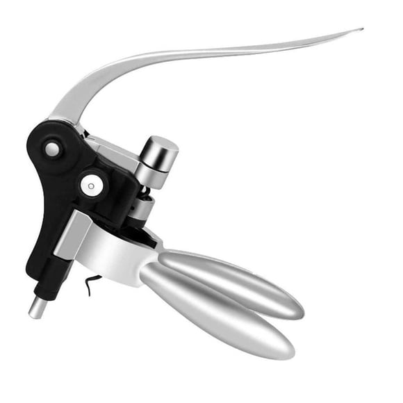 Czzoypi Professional Wine Bottle Opener Corkscrew Set with Foil Cutter, Brass Lever Corkscrew Wine Pourer Accessories Kit, Complete Wine Tools for Enthusiasts Hosts Gifts Party Essential
