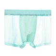 thumbnail image 1 of Ice Silk Thin Style Traceless Boxers Business Breathable Mens Summer Comfortable Boxers, 1 of 4