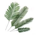 thumbnail image 3 of kurtrusly 10pack/lot Experience Beauty Of Nature With Artificial Plants For Home Decor A00265 1Set, 3 of 6