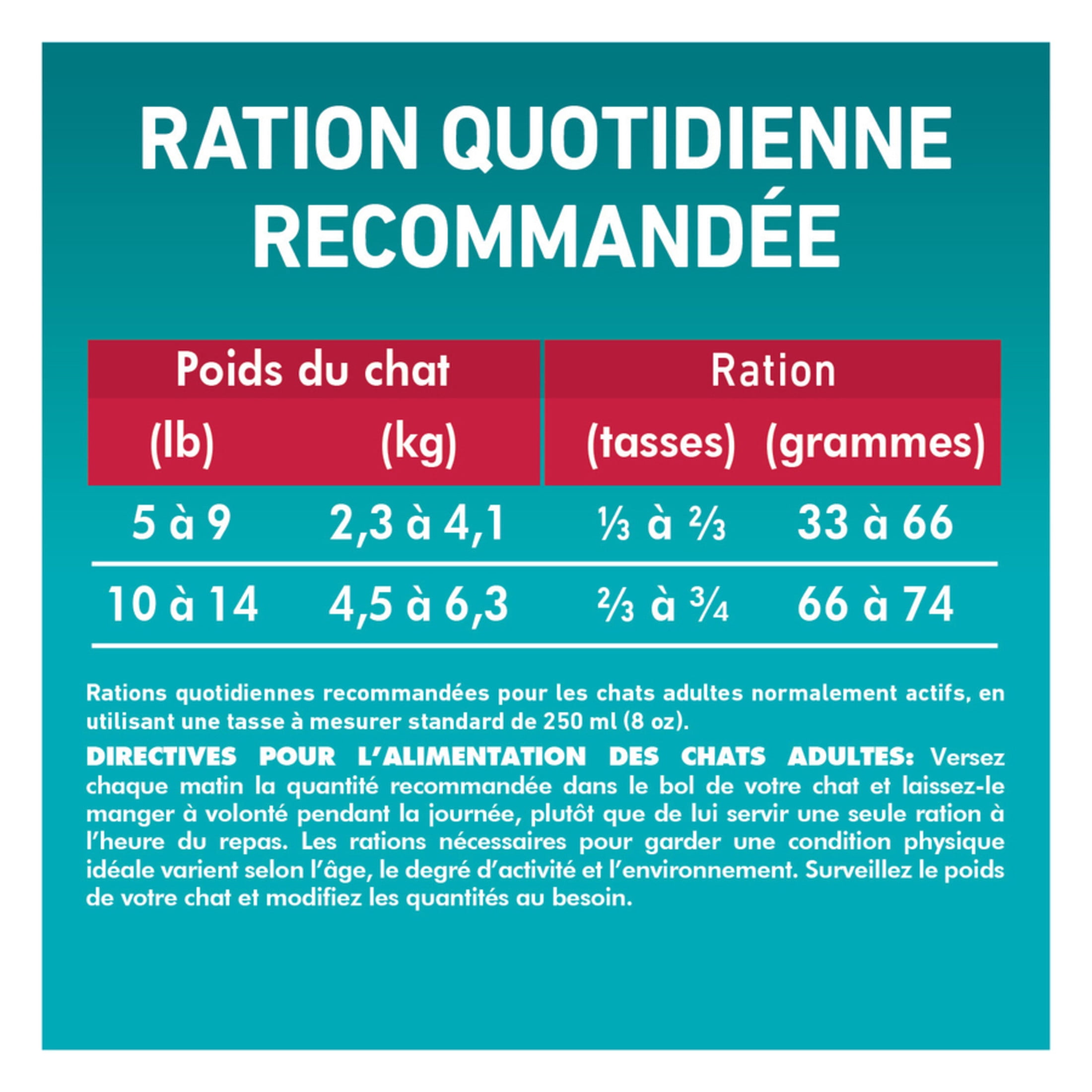 Purina ONE Saumon & Riz, Nourriture Sèche pour Chats 1.6kg