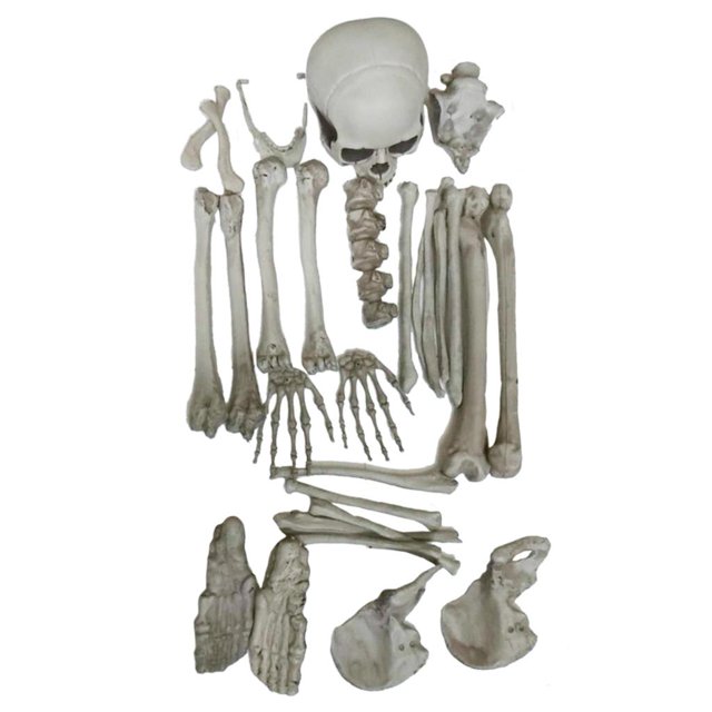 GROWTH TANK 28Pieces Squelette Modèle Ornement Aquarium Réservoir Aquascaping Décoration