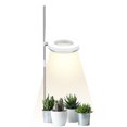 thumbnail image 1 of Petite Lampe pour Plantes d'Intérieur à Spectre Complet, Lampe LED pour Plantes, Mini Lampe de Bureau pour Plantes, Hauteur Réglable, Lampe pour Plantes avec Éclairage IPL et Lumière du Soleil sur Support de Lampe Simple et Double, 1 of 8