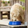 thumbnail image 3 of Farm Innovators Signature Series 5.5QT Heated Pet Bowl with Steel Insert, 3 of 7