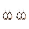 thumbnail image 2 of QualitChoice Leopard Print Earrings Body Decoration Water Drop Ear Dangles Birthday Gift Type 6 2Set, 2 of 6