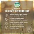 thumbnail image 5 of OxBow Alfalfa Hay Small Animal, 144oz / 9lb, 5 of 5