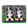 thumbnail image 1 of Carolines Treasures SS8334RUG Bernese Mountain Dog Machine Washable Memory Foam Mat, 1 of 4