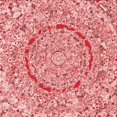 thumbnail image 1 of Ahgly Company Tapis d'Intérieur Lavable en Machine Carré Transitionnel Rose Pastel, 6 Pieds Carré, 1 of 7
