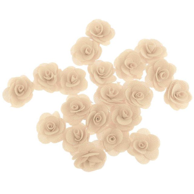 pitrice 20 Pieces Silk Rose Flower Head Bud DIY Craft Wedding Decor Beige