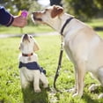 thumbnail image 3 of TIELUTT Whistle Clicker 2 in 1 Dog Training Device Dog Stop Barking Dog Devices Automatic Cat Clicker Training Set Dog Whistle Stop Cats from Jumping on Counter Stop Dog Barking Device Outdoor Long Ra, 3 of 3