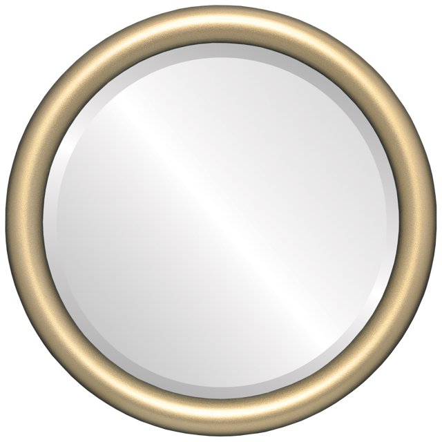 Pasadena Framed Mirror - Gold Spray