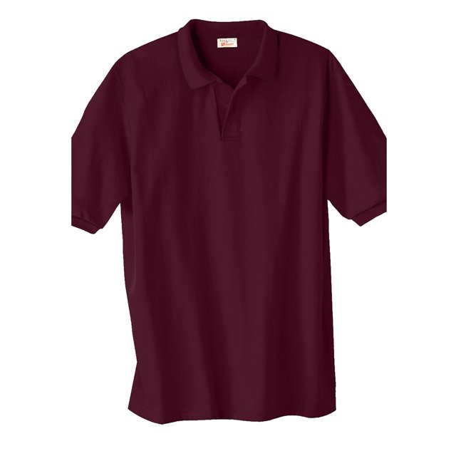 Hanes Maillot de Polo Écosmart pour Adulte Style 054X
