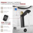 thumbnail image 3 of Stylish Riela 7 ½" Ht Single Handle Matte Black & Gold Bathroom Faucet B-104NG, 3 of 9