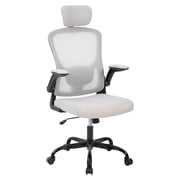 EDTara Mesh Ergonomic Office Chair with High Back, Adjustable Headrest and Lumbar, Flip-Up Arms, Swivel Rolling Chair for Home Office