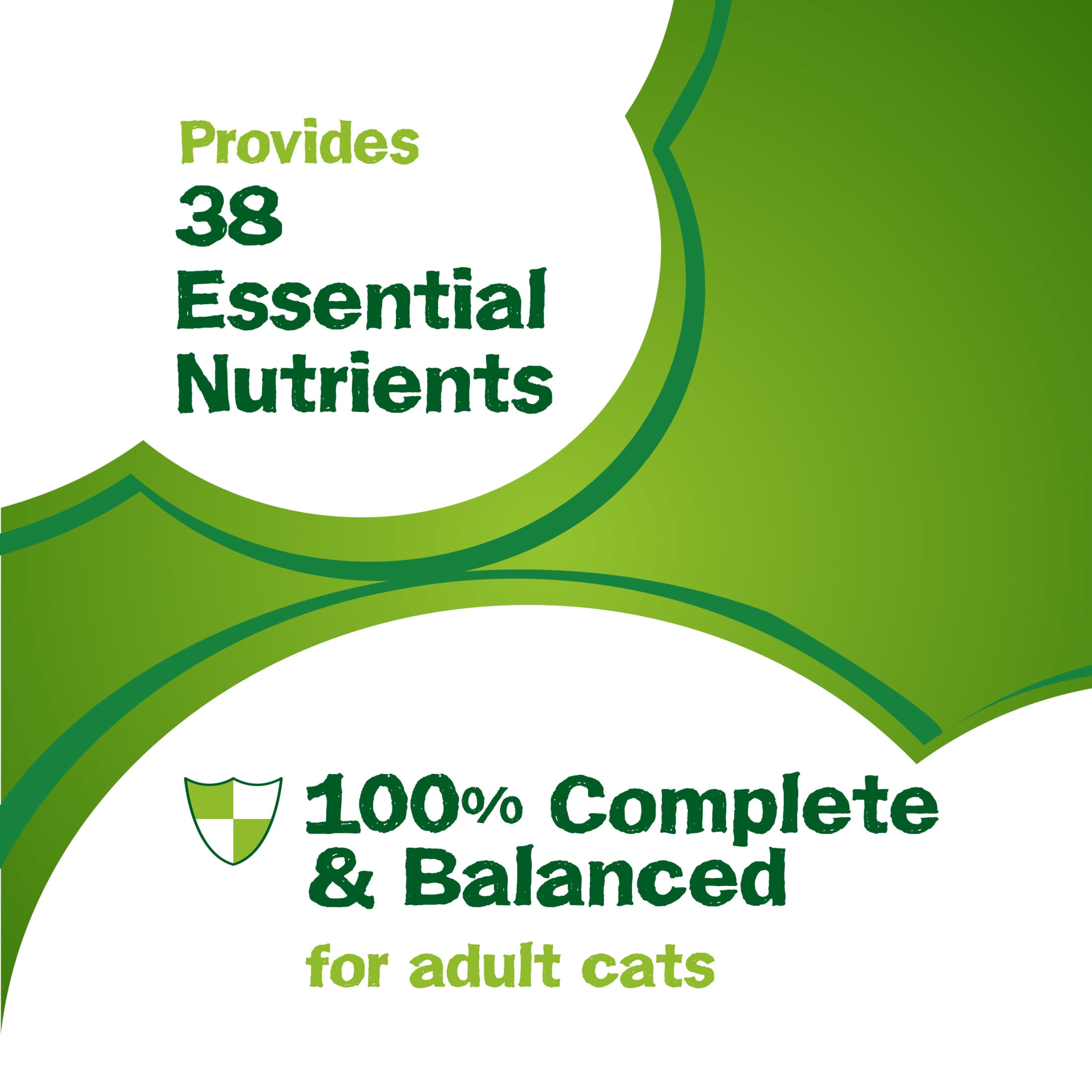 Purina Friskies Sizzlin' Sup-purr Saveurs de poulet, saumon, petits pois et carottes, Nourriture Sèche pour Chats, 7.26 kg