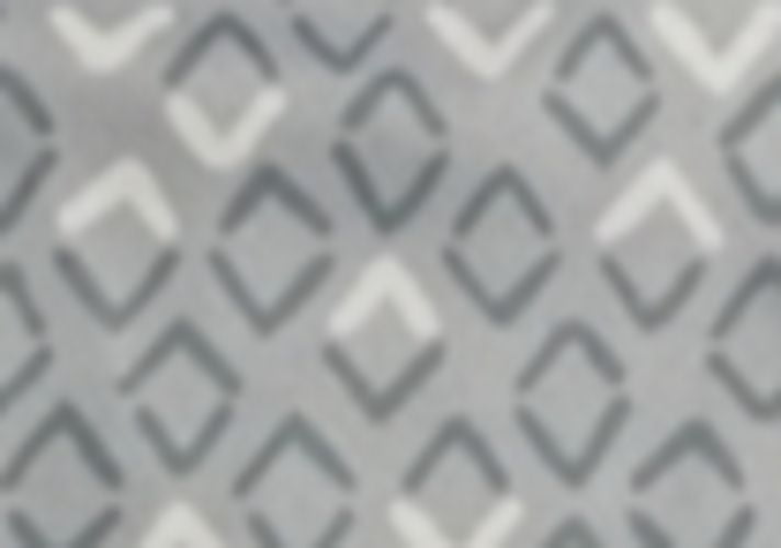Micro Fleece Throw
