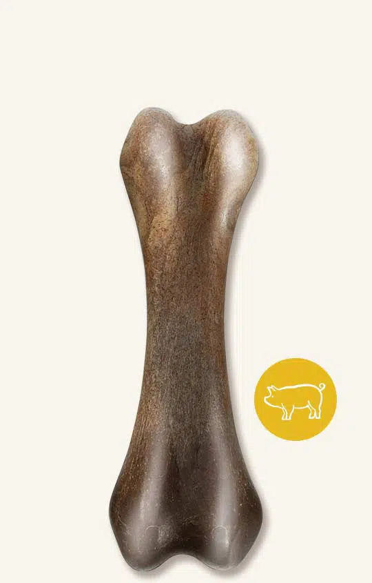 Os à mâcher robuste Nosh Zeus pour chiens, arôme de bacon, petit