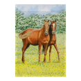 thumbnail image 1 of Betsy Drake FL057G Two Horses Flag - 28 x 40 in., 1 of 1