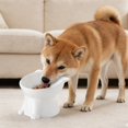 thumbnail image 4 of TIELUTT Bols Surélevés pour Chats avec Support et Base Réglables, Bol Lent Surélevé pour Chat, Bol pour Chien Lent, Bol pour Chien à Ralentir, Tapis de Bol D'Eau pour Animal, Petit Mangeoire Surélevée pour Animal de Compagnie pour D Moyen, 4 of 6