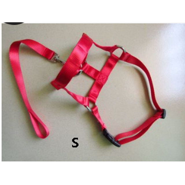 Faithtur Dogs Mouth Rope Gentle Halter Leash Leader Pet Mouth Traction Set Adjustable Head Collar Pet Accessories