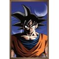 thumbnail image 1 of Dragon Ball Z - Goku Wall Poster, 22.375" x 34", 1 of 4