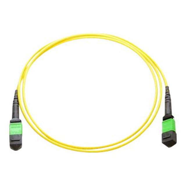 Axiom - Câble Réseau - MTP/MPO Mode Unique (F) vers MTP/MPO Mode Unique (F) - 2 m - Fibre Optique - 9 / 125 Microns - Rehausseur - Jaune