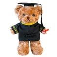 thumbnail image 2 of Aqestyerly Graduation Bear Stuffed Animal Plush Toy Class Of Gift With Cap Graduation Soft Toy Souvenir Gift HWRETIE, 2 of 2