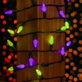 thumbnail image 3 of Novelty Lights 70 LED C6 Outdoor Halloween String Lights, Purple & Lime, 3 of 6
