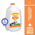 thumbnail image 1 of Dairyland 3.25% Lactose Free Homogenized Milk, 1 of 6