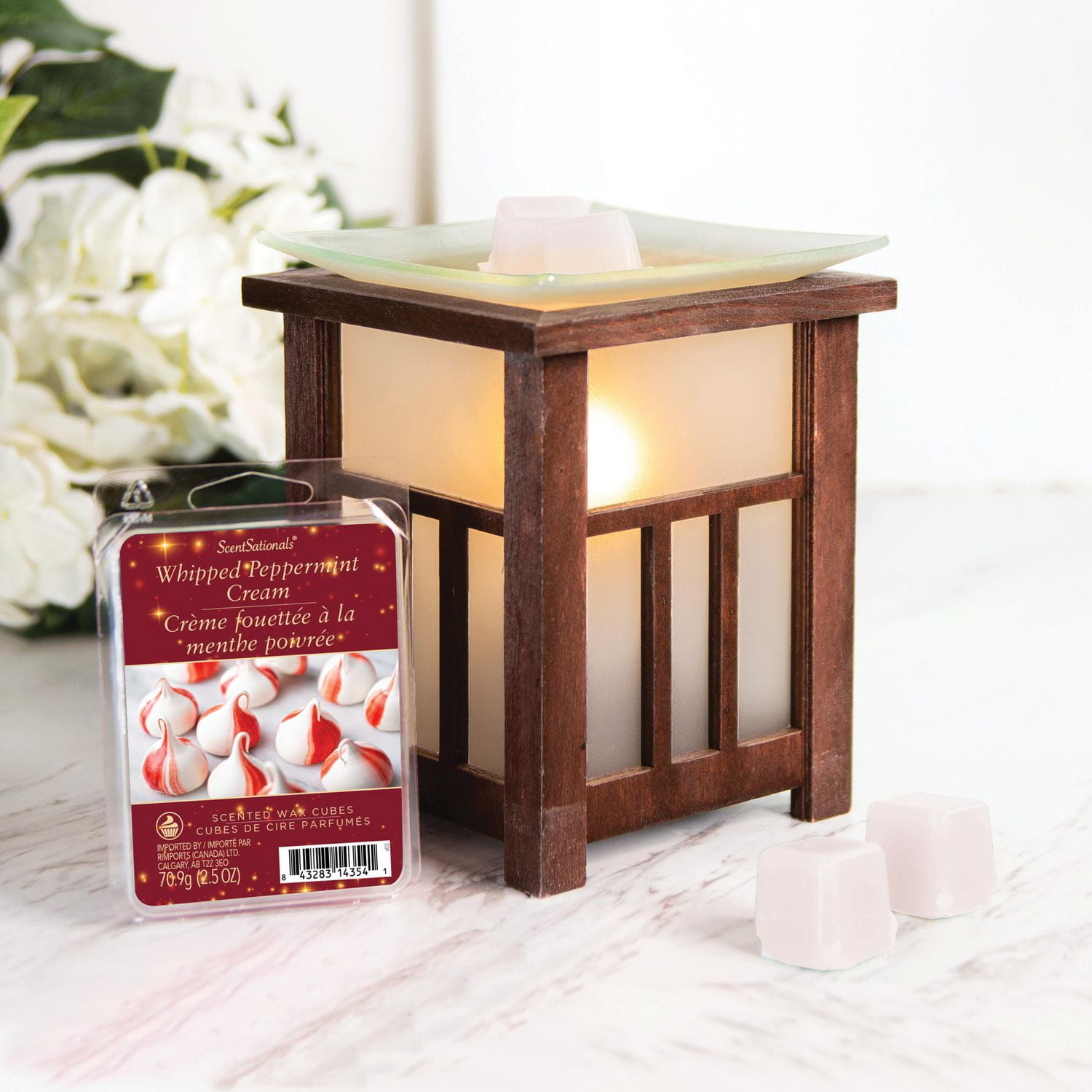 Cubes de cire parfumée Paquet économique ScentSationals - Crème fouettée à la menthe poivrée.