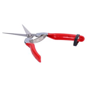 Ciseaux de taille, cisailles de taille confortable à tenir en matériaux pour la cueillette de fruits pour les branches de taille