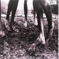 thumbnail image 3 of Pearl Jam - Vs (Vinyl), 3 of 3