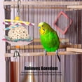 thumbnail image 3 of Edible Cake Bird Foraging  Cake Bird Foraging Toy  Treat Dispensing Bird Toy In The Form Of A Cake Edible Soft Boredom ParakeetsShredding Chewing Toy For Cockatiel Budgie, 3 of 8
