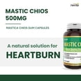thumbnail image 3 of Herba Capsules de Gomme Masticée 500 Mg - 120 Capsules / Fabriqué au Canada, 3 of 9