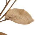 thumbnail image 2 of Bouclair Brown Artificial Eucalyptus Stem, 2 of 2