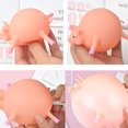 thumbnail image 3 of EGNMCR Kid Funny Blowing Inflatable Stress Mesh And Pinch Toy Inflatable plaything Birthday Gifts for Kids, 3 of 4