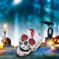 thumbnail image 1 of Yhmxh Halloween Decorations,Party Favors,Halloween Skeletons Plastic Realistic Fake Simulation Human Skull HeadBone Model Halloween Prop Realistic Mini Skeleton Spooky Halloween Decoration, 1 of 5