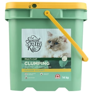 Special Kitty Clumping Scented Litter chat 14kg Peau