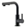thumbnail image 1 of The akuaplus® ANNA pull down Kitchen Faucet., 1 of 5
