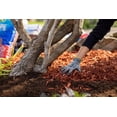 thumbnail image 2 of Scotts Nature Scapes Sierra Red Mulch - 42.5L, 2 of 6