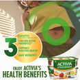 thumbnail image 3 of Activia Probiotic Yogurt, Lactose Free, Strawberry/Blueberry/Peach/Mango, 12x100g, 3 of 8