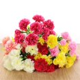 thumbnail image 3 of 10Head Carnation Artificial Flowers Plastic Fake Plants Home Party Wedding Decor, 3 of 6